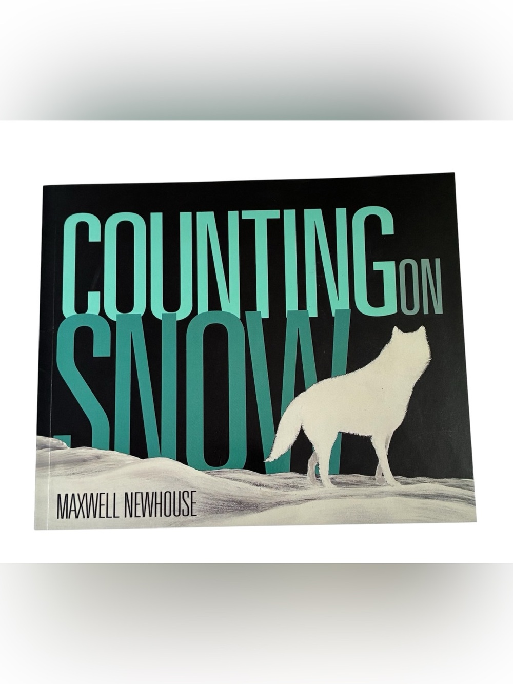 6/$20🎉’COUNTING ON SNOW’ KIDS BOOK